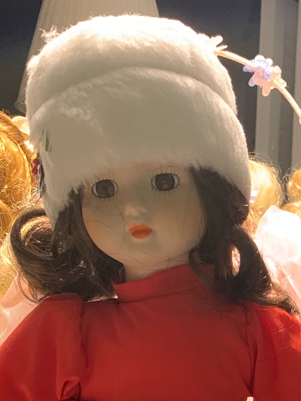 Brinn’s Collectible Doll